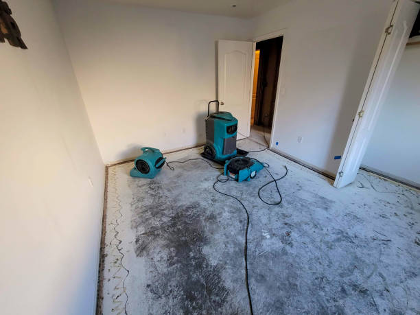 Best Residential water damage restoration  in Naval Academy, MD
