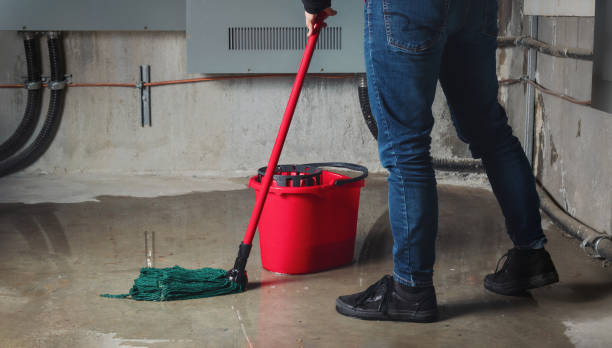 Best Flood damage cleanup  in Naval Academy, MD