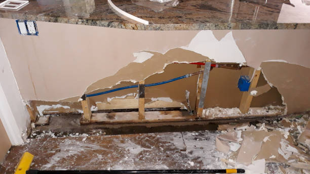 Best Flood restoration services  in Naval Academy, MD