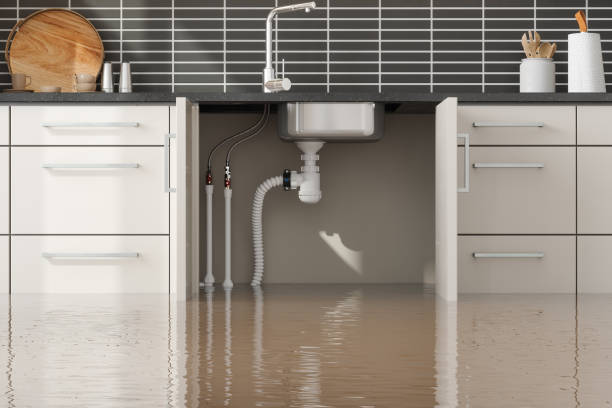  Naval Academy, MD Water damage restoration Pros